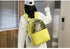 Transparent Breathable Pet Carrier Backpack