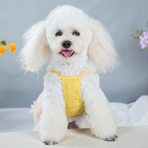 Cute Lace Flower Princess Dog Dress
