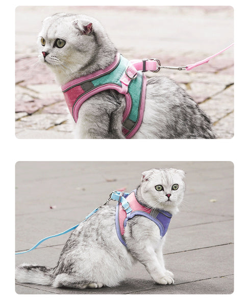 Reflective Cat Breathable Body Harnesses and Leash set