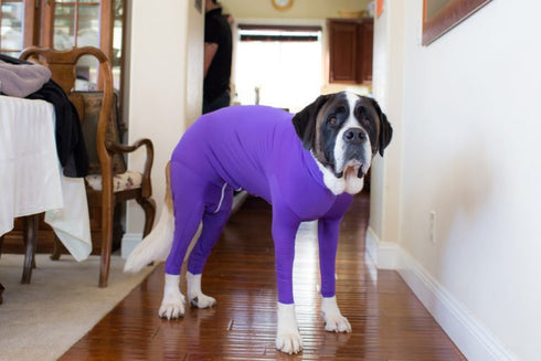 Dog Jumpsuit Zip Up Dog Plain Blank Clothes