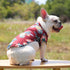 Hawaiian Dog Shirts Apparel Suit for Holiday