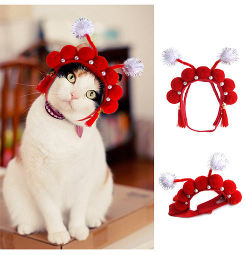 Cat Cute Chinese New Year Costume