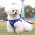 Breathable Walking Vest Harnesses for Dogs