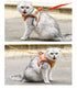 Reflective Cat Breathable Body Harnesses and Leash set