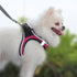 Dog Reflective Harnesses and Dog Leash