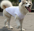 Dogs Pullover 100% Cotton Soft Puppy Cute Blank Clothes