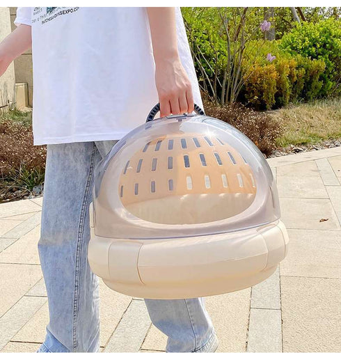Transparent Bubble Carrier for Kittens