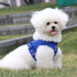 Breathable Walking Vest Harnesses for Dogs