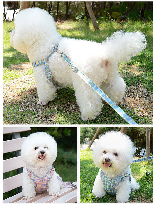 Escape Proof harnesses for Kitten and Puppy