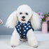 Dog Breathable Cooling Jacket for Outdoor