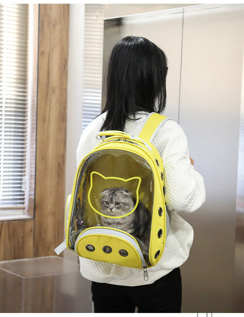 KittensTransparent Carrier Pet Backpack