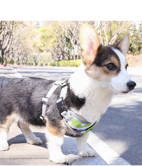 Dog Harnesses Soft Chest Vest for Puppy
