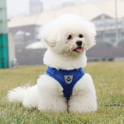 Breathable Walking Vest Harnesses for Dogs