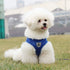Breathable Walking Vest Harnesses for Dogs