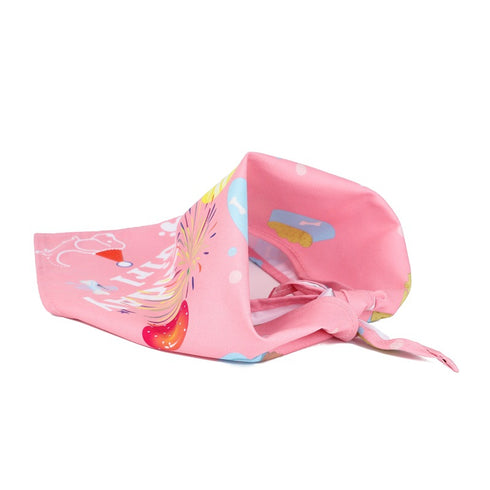 Dog Birthday Hat Cute Party Bandana Scarf