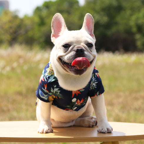 Hawaiian Dog Shirts Apparel Suit for Holiday
