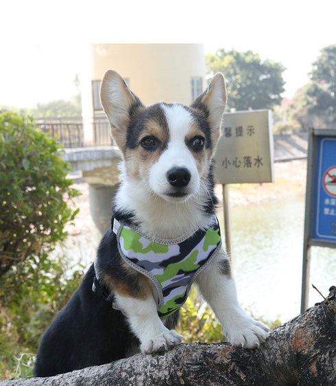 Dog Harnesses Soft Chest Vest for Puppy