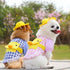 Dog Summer Duck Plaid Shirts Clothes with Hat