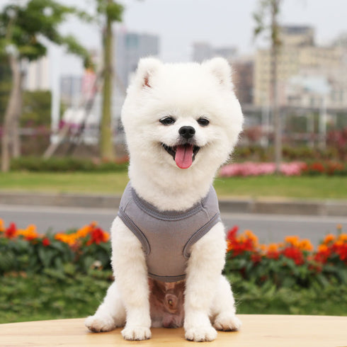 Dogs Pullover 100% Cotton Soft Puppy Cute Blank Clothes