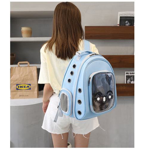 Transparent Carrying Backpack for Outdoor