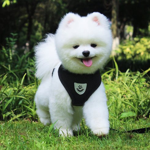 Reflective Soft Padded Vest with Dog Leash