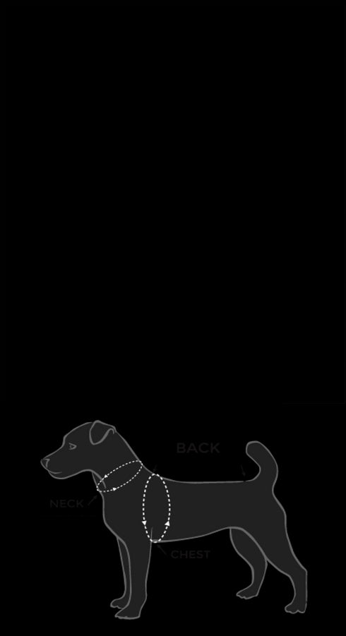 Dog Shirt Soft Breathable Dog Blank T-Shirt Jerseys