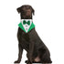 St. Patrick's Day Dog Bandana Collar with Bow Tie
