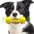 Dog Chew Indestructible Durable Toothbrush Toys