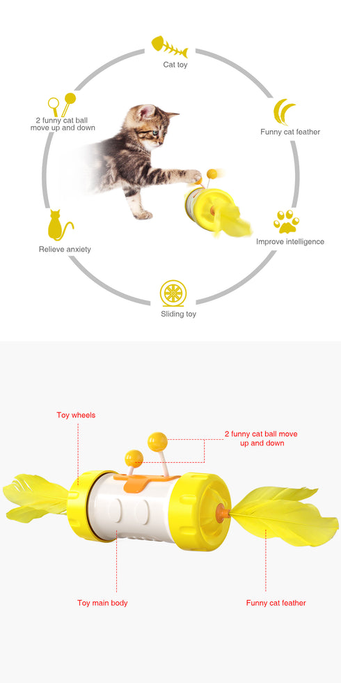 Cat Feather Toys for Indoor Cats