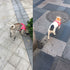 Walking Easy Control Dog Harnesses