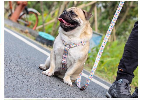 Adjustable Harnesses Form Ergonomic for Training