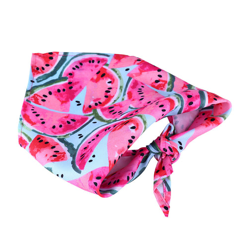 Washable Fruit Summer Pet Bandanas