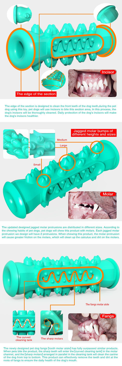 Toothbrush Puppy Chew Playing Toy