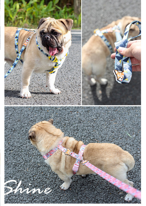 Adjustable Harnesses Form Ergonomic for Training