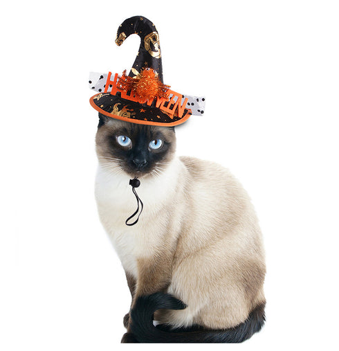 Pet Holiday Halloween Using Dog Costumes