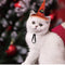 Funny Cat Halloween Costume Hat