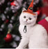 Funny Cat Halloween Costume Hat