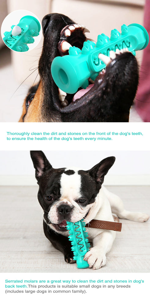 Toothbrush Puppy Chew Playing Toy