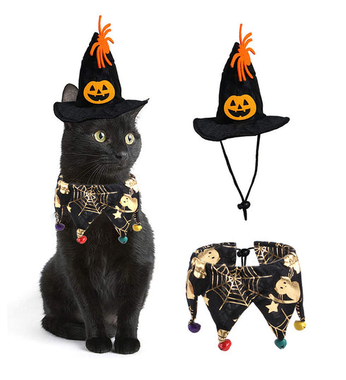 Halloween Pumpkin Hat and Collar
