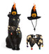 Halloween Pumpkin Hat and Collar