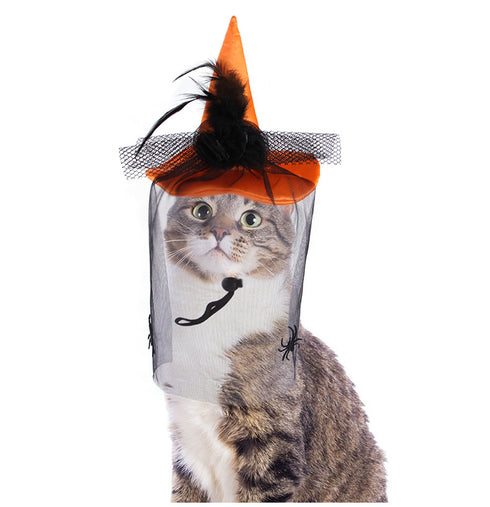 Halloween Purple Spider Witch Mesh Hat