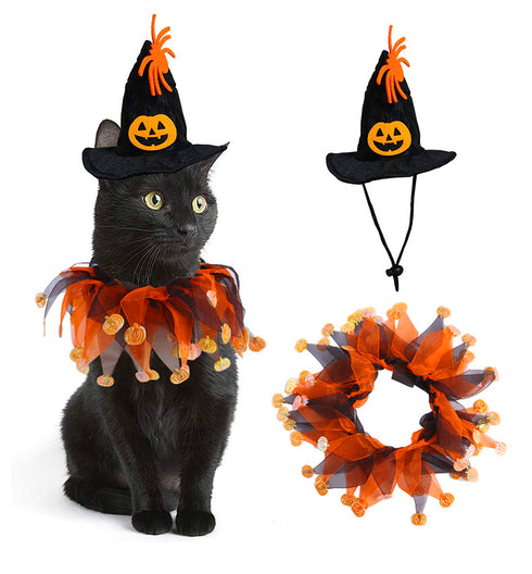 Funny Cat Halloween Cool Pumpkin Collar and Hat