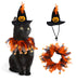 Funny Cat Halloween Cool Pumpkin Collar and Hat