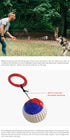 Dog Traning Balls Launcher Toy