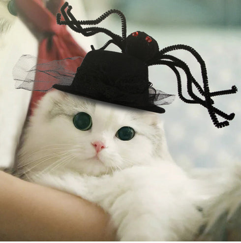 Funny Hat with Spider Hairpiece for Kitten Puppy