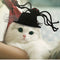 Funny Hat with Spider Hairpiece for Kitten Puppy