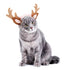 Cat Costume Hat Merry Christmas Headwear