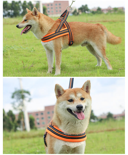 Freedom No Pull Dog Harnesses