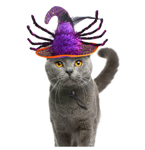 Halloween Hat Cosplay Clothing Accessories for Cats