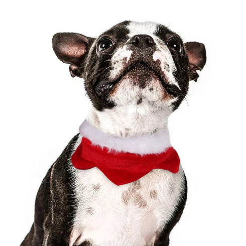 Christmas Dog Collar Scarf for Puppy Kitty